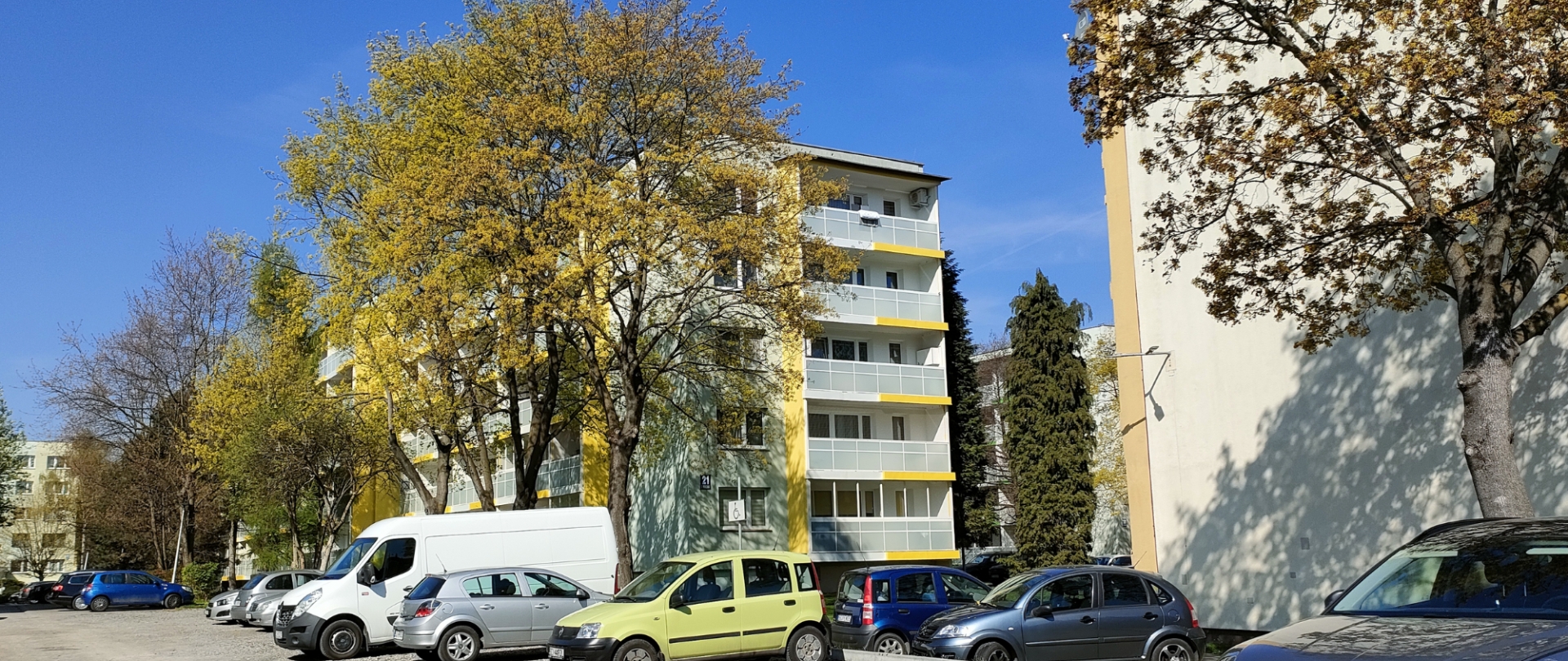 zdjęcie 1