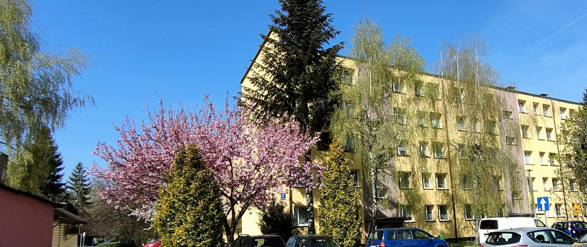 zdjęcie 2