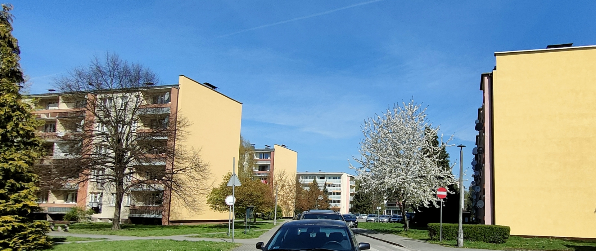 zdjęcie 3