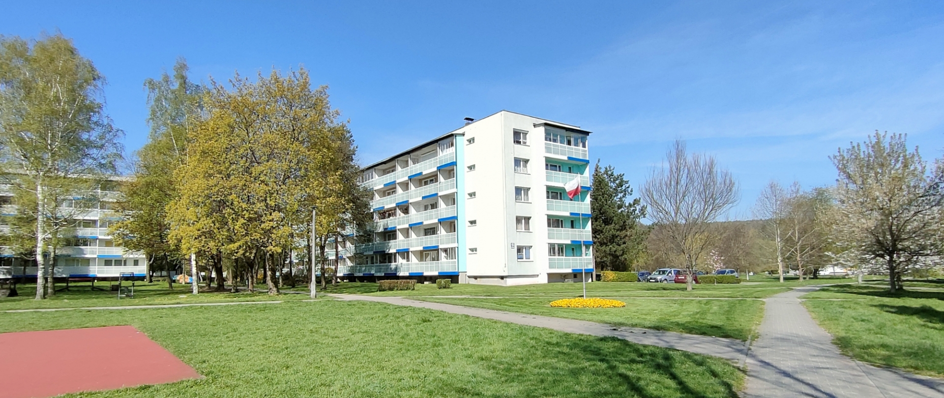 zdjęcie 5